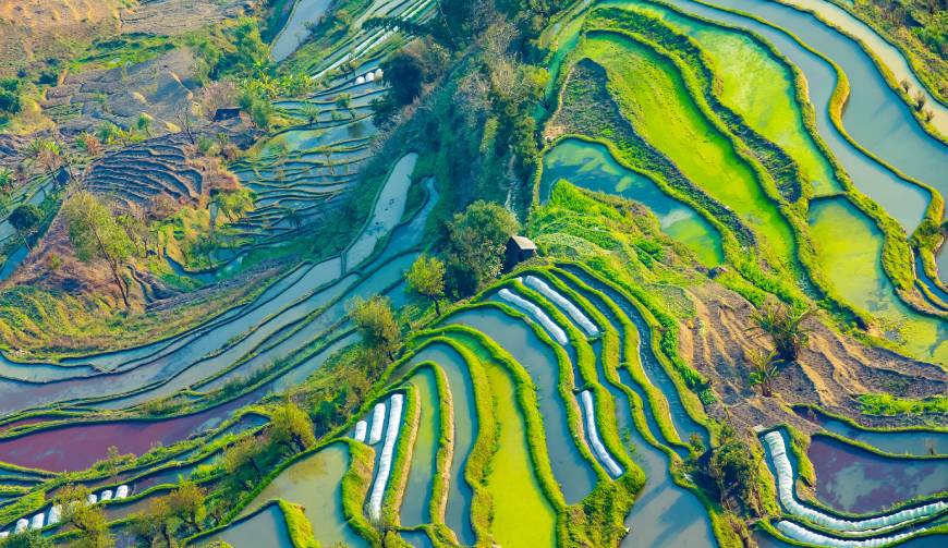宝妈必备神器：游仙区产品视频拍摄轻松育儿好帮手