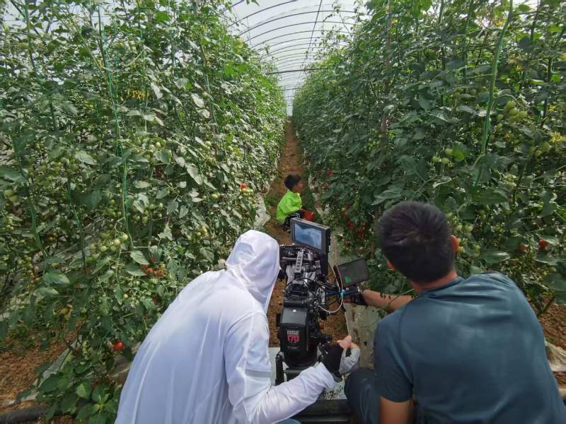 游仙区产品宣传视频拍摄公司进阶指南，助力品牌抢占传播高地